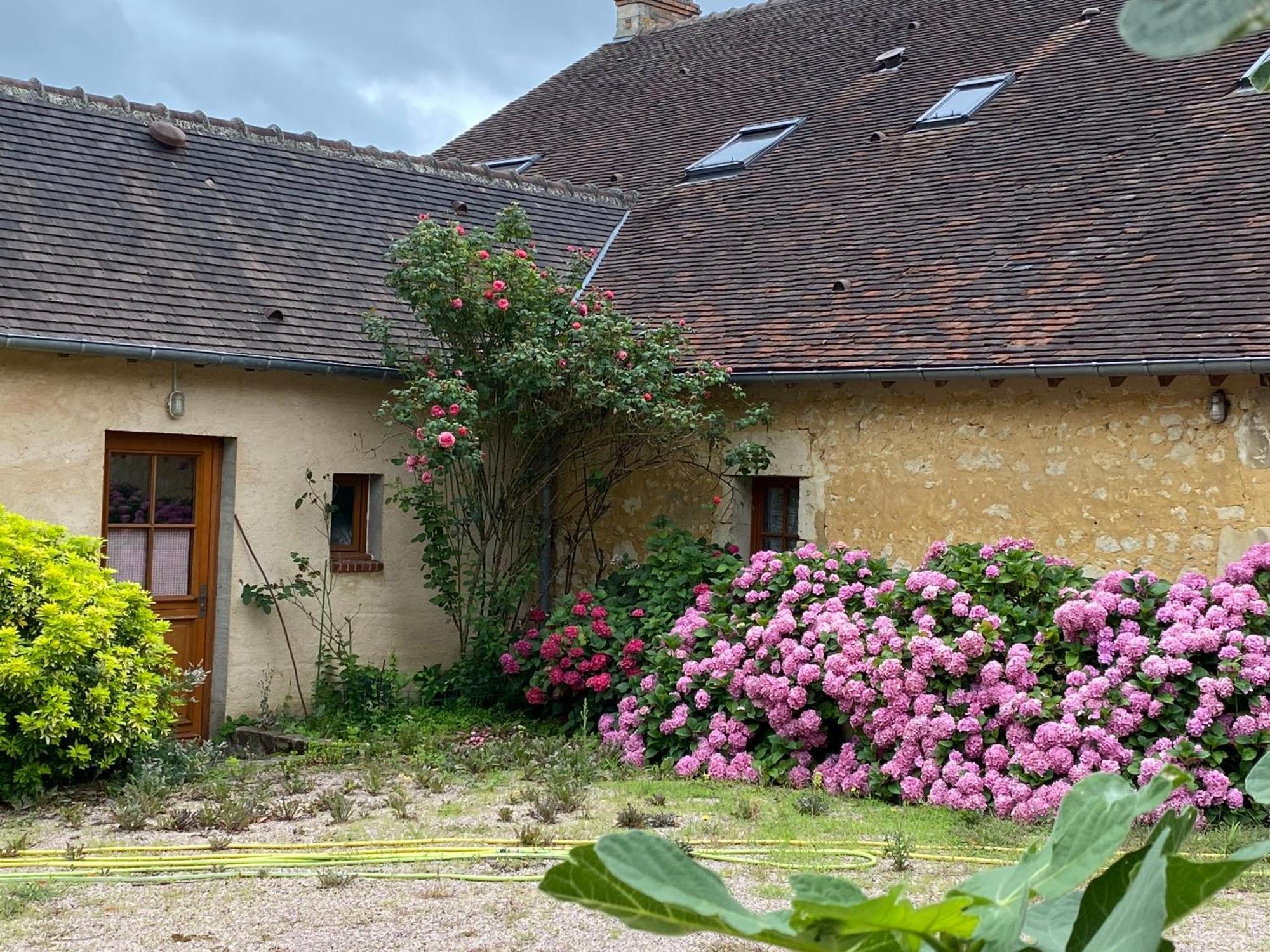Chambre D'Hotes Du Domaine De La Haute Poignandiere Saint-Germain-de-la-Coudre Eksteriør bilde